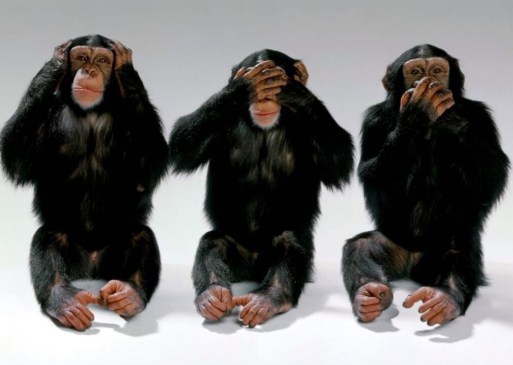 Image result for pics of 3 monkeys see no evil