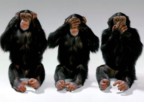 Image result for pics of see no evil monkeys